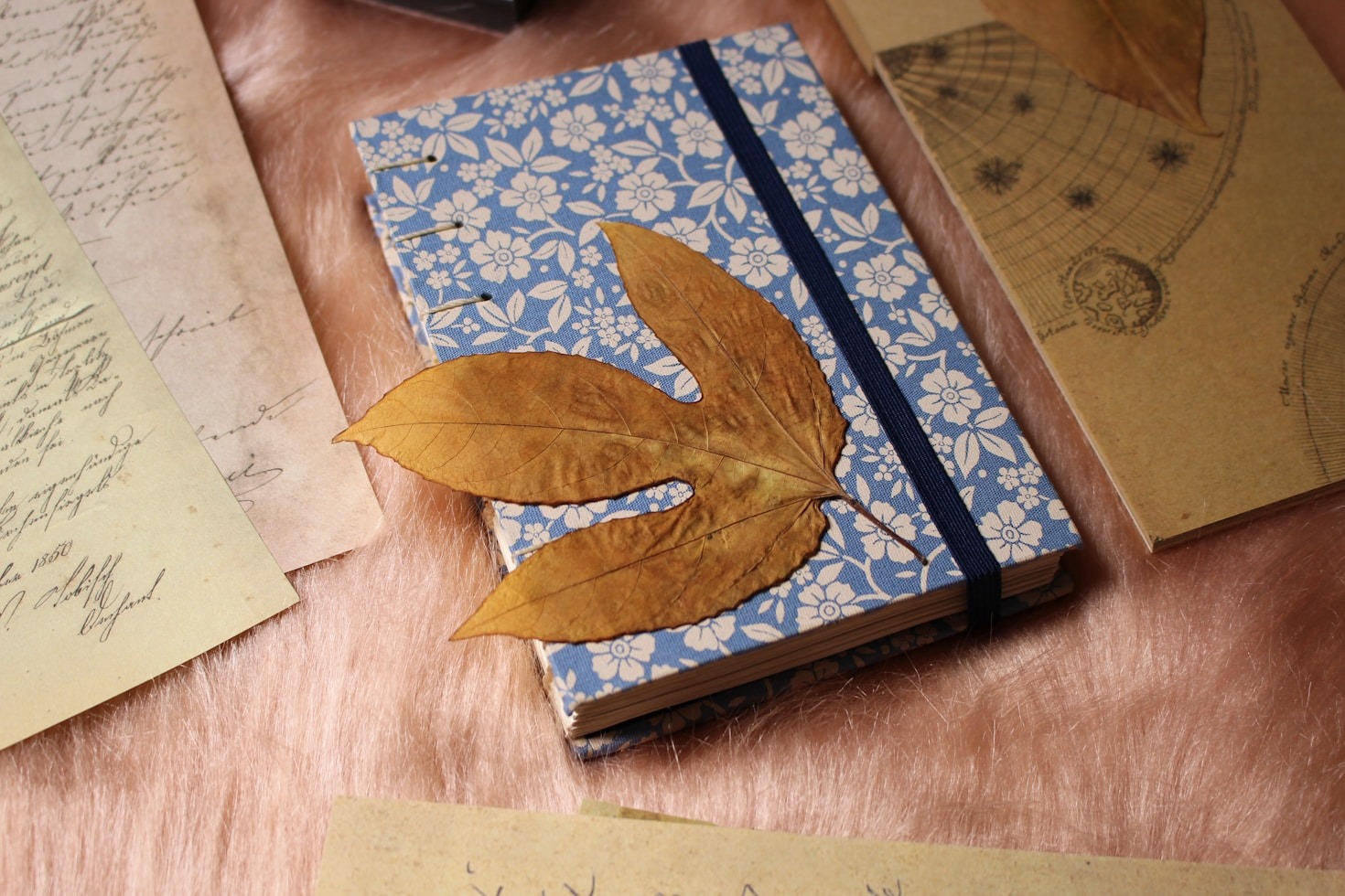 Ideas to Inspire Your Day-to-Day